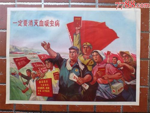 支付宝换国际驾照怎么申请流程